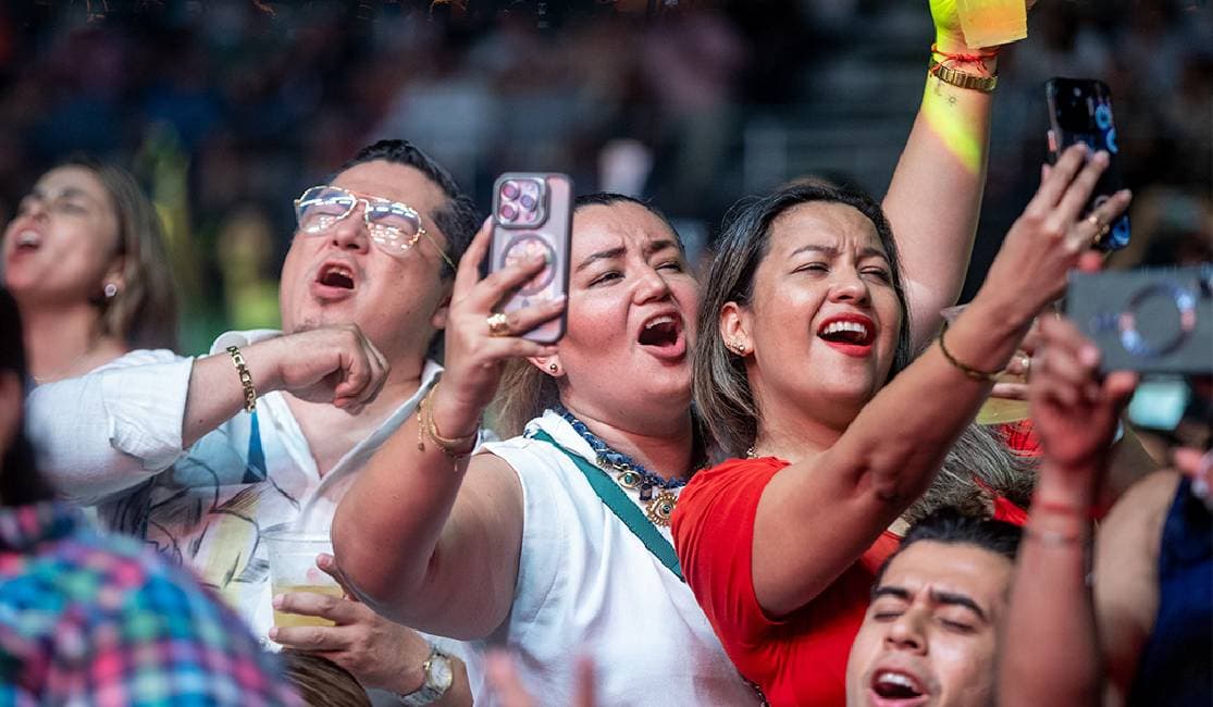 Festivales y Conciertos